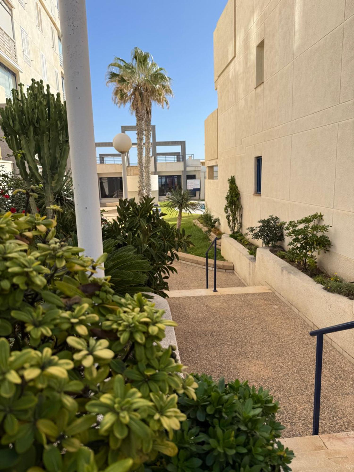Torrevieja La Mata Primera Linea Playa Exterior photo